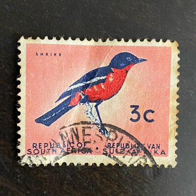 Vintage Postage Poste Stamp South African stamp 1951 Song shrike Singing birds  - Image 1 of 2