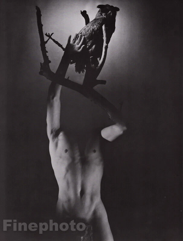 Arte fotográfico de búho mitología griega 1936/81 George Platt Lynes surrealista desnudo masculino 16x20 Foto 1 de 1