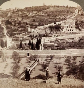 Stereoview Garden Gethsemane Mount of Olives fr Eastern Wall Jerusalem Palestine - Picture 1 of 3