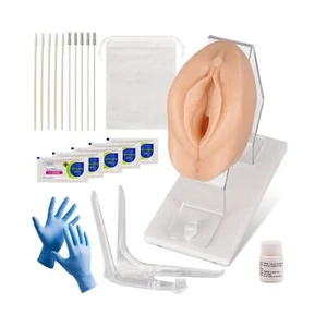 Beckengesundheitsmodell, vaginales Trainingsmodell für den naturwissenschaftlichen Unterricht, Gynäkologi... - Bild 1 von 8