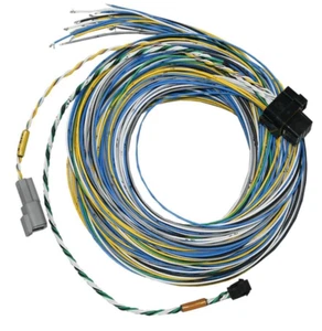 OPEN BOX Fuel Tech 2001005571 FT450/550 B Unterminated Harnesses 10 Feet - Afbeelding 1 van 1