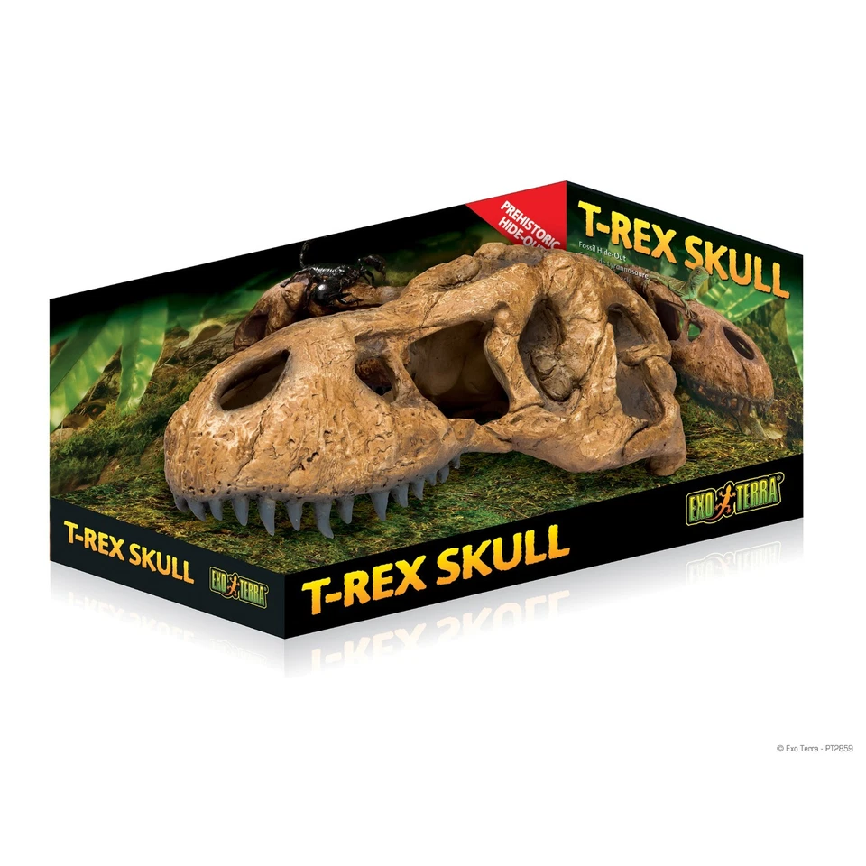Exo Terra T- REX Skull Decoration Reptile Hide Cave Vivarium Dragon Dinosaur