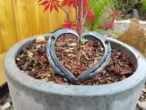 Horseshoe heart - Picture 1 of 9