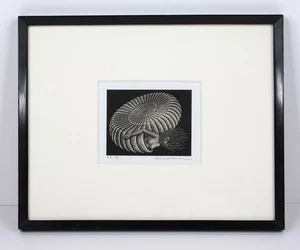 Xilografia Hitoshi Karasawa Kikuishi/Ammonite firmata incorniciata ED-EA10 1977 - Foto 1 di 2