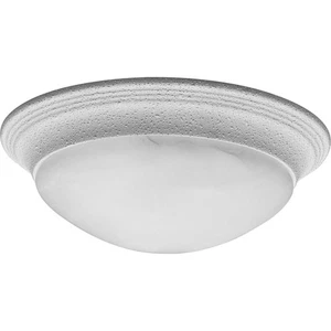 Progress Lighting P3689 2 Light Flush Mount Ceiling Fixture - White - Picture 1 of 2