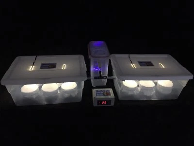 Elite Mushroom Growing Kit with 12 PF Tek Style Jars - Expandable/Automated - Image 1 of 4