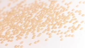Hotfix Ceramic Stones BEIGE 3mm zum aufbügeln Hochzeit Halbperlen Strass - Picture 1 of 18