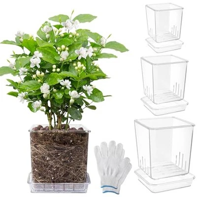3 Set 3.5/4/5 Inch Thickened Nursery Pots 3.5/4/5inch 3-set with gloves Clear - Image 1 of 4