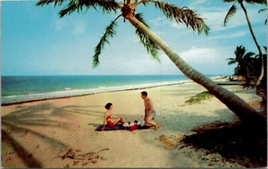 Atlantic Ocean Beach Key Biscayne Miami Florida Sunbathers Palm Tree - Postcard - Picture 1 of 2