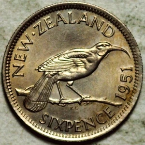 Nueva Zelanda 1951 6 peniques seis peniques (elección sin circular) - Imagen 1 de 2