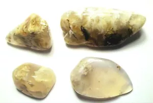 100cts POLISHED GRAVEYARD POINT PLUME AGATE OREGON # 16 - Picture 1 of 1
