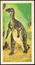 Tea Card - Brooke Bond Prehistoric Animals #21 Hypsilophodon *S167* Dinosaur