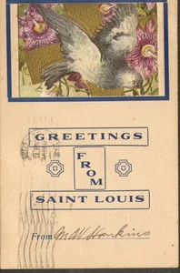 Grüße aus Saint Louis Vintage Postkarte Vogel - Bild 1 von 2