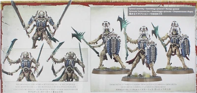 Warhammer AoS Ossiarch Bonereapers Immortis Guard / Necropolis Stalkers NO BOX - Image 1 of 2