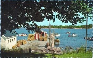 Lobster Wharf Maine Postcard M-1095 Unposted - Picture 1 of 2