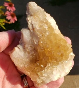 Druzy Quartz Crystal on thin Lace Agate layer - Sparkly Missouri Specimen dr1754 - Picture 1 of 8