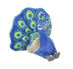 peacock teddy