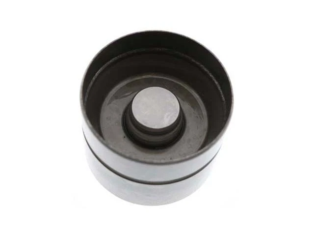 8x Elevador de válvula hidráulico INA 050109309H Volkswagen Jetta Golf Audi A6 Cabriolet Foto 1 de 1