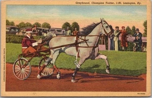 Lexington KY ARNESS RACING Lino Postal "Greyhound, Champion Trotter" Caballo - Imagen 1 de 2
