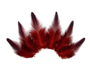 10 Pieces - Red Dyed Jungle Cock Loose Plumage Feather Fly Tying Rare Exotic - Picture 1 of 7