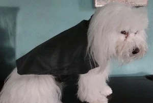 Abrigo de cuero verde genuino para perro talla mediana de Bark Avenue Originals - Imagen 1 de 10