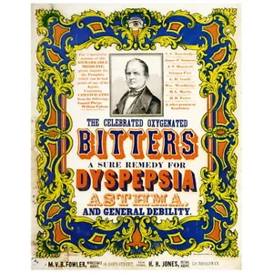 Celebrated Oxygenated Bitters Ad Poster FRIDGE MAGNET, Circa 1847 Magnet - Bild 1 von 7