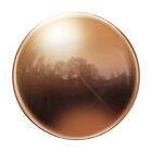 Gazing Ball 4 Inch 100mm Stainless Steel Gazing Globe Mirror Sphere, Rose Gold