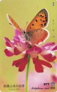 Télécarte JAPON - ANIMAL - PAPILLON sur FLEUR - BUTTERFLY JAPAN phonecard - Imagen 1 de 1
