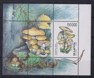 Bielorussia / Bielorussia 1999 funghi n. Michel blocco 17 MNH** - Foto 1 di 1