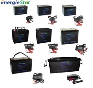 LiFePo4 Battery 12.8V Lithium-Ion Iron Phosphate 12V Leisure Solar Caravan - Picture 1 of 30
