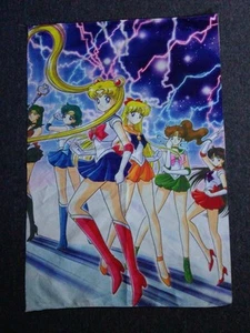 Sailor Moon Tv & Movie Fabric Wall Banner 87x 57cm AU Stock Vintage 90's As New - Picture 1 of 6