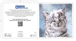RSPCA Charity Christmas Cards Pack of 10 Snowfall Cat Design - Picture 1 of 2