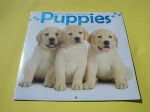 Wandkalender 2025 neu versiegelt 12 Monate Welpen Sa - Bild 1 von 2