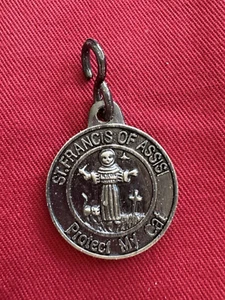 ST. FRANCIS PROTECT MY CAT MEDAL with Attached S Hook 1" Round By Gifts Of Faith - Picture 1 of 6