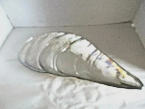  Silber Muschel Keramik Tablett - Knabberschale Serviertabletts 14" x 7" x 1,5" - Bild 1 von 3