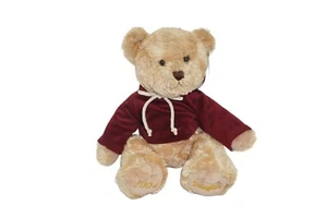 Douglas Teddy Bär Plüschtier Stofftier Kuscheltier Pullover Hoodie Sammler 2007 - Bild 1 von 4