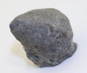 Cystoidea, Heliocrinites promiens, Ordovizium, Skövde, Schweden - L670 - Picture 1 of 7