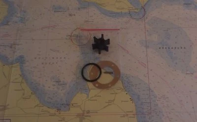 Impeller CEF IP500100GX für Johnson, Yanmar, Jabsco u.v.m.