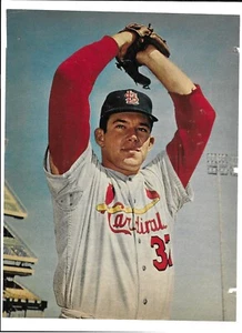 Saint Louis Cardinals RAY SADECKI FOTO revista imagen 1965 foto béisbol - Imagen 1 de 1