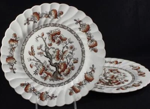 Myott Staffordshire DYNASTY (SWIRLED) 2 Dinner Plates GOOD CONDITION - Picture 1 of 5