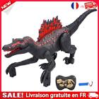 Remote Control Realistic Walking RC Dinosaur with LED Light Sound (Black)