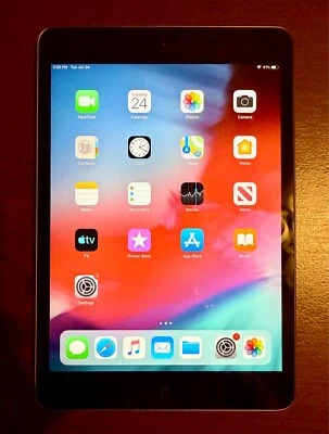 Apple iPad Mini 2 Gris espacial 16 GB Wi-Fi 7,9 pulgadas ME276LL/A *¡EXCELENTE ESTADO!* Foto 1 de 4