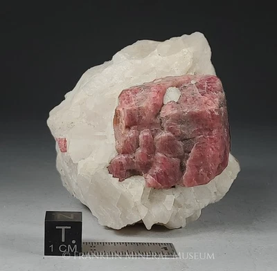 Rhodonite crystal - Franklin, NJ - Image 1 of 4