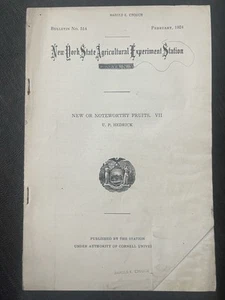 1924 New York State Agricultural Experiments New Bemerkenswerte Früchte Broschüre - Bild 1 von 5