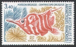 FSAT/TAAF 1993 Red-banded Snipefish/Fish/Marine/Wildlife/Nature 1v (n25581) - Picture 1 of 1