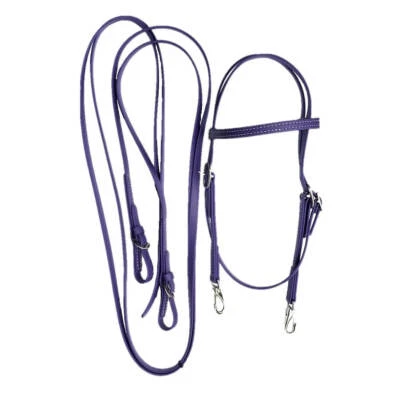 New western Purple or Teal Beta Biothane Browband Bridle with 8' Split Reins   Foto 1 de 4