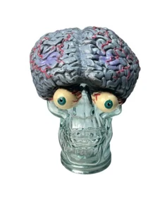 Vintage 2000 Disguise Inc. Brain Eyeball Haunted Halloween Gory Prop Skill Cap - Picture 1 of 7