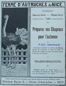 PUBLICITE FERME D'AUTRUCHES DE NICE PLUME CHAPEAU MONTE CARLO DE 1913 FRENCH AD - Imagen 1 de 1