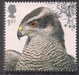 GB 2019 QE2 1st Birds of Prey ' Goshawk ' Ex Fdc SG 4206 ( D114 ) - Picture 1 of 1
