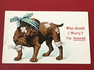 EARLY 1912 NATIONAL SERIES PC - BULLDOG - WHY SHOULD I WORRY? I’M INSURED! -2183 - Picture 1 of 1